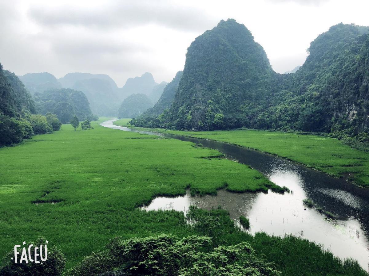 Jamerik Taco Bar - Hostel Ninh Binh Eksteriør billede