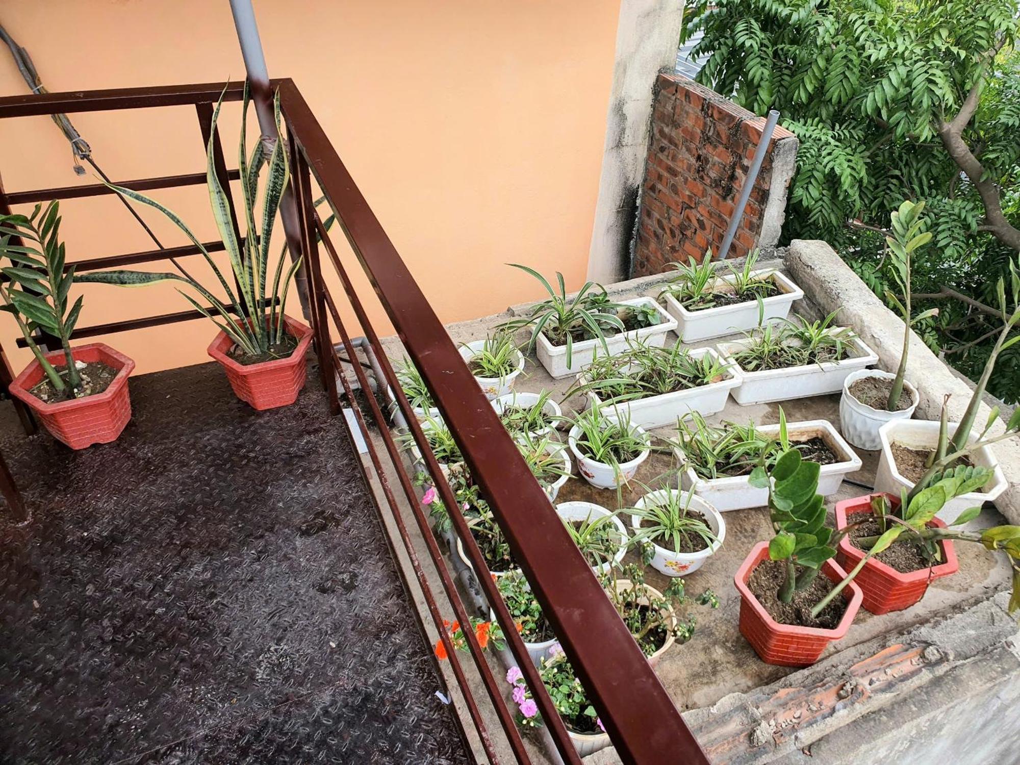 Jamerik Taco Bar - Hostel Ninh Binh Eksteriør billede
